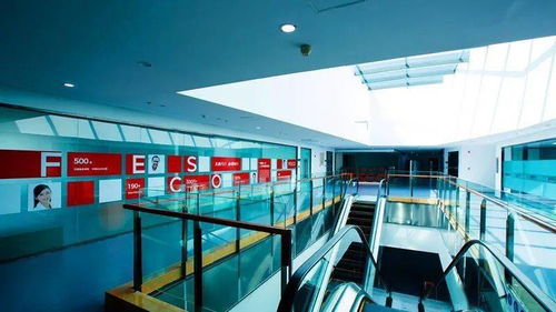 通州园区 以产业集聚为引擎，推动人力资源服务雁阵腾飞