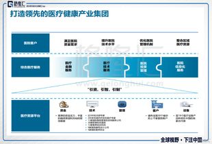 把握政策东风，构建生态闭环 环球医疗（2666.HK）如何打造领先的医疗健康产业集团